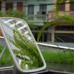 Gương trang điểm Jordan Judy NV505 Xiaomi 3 màu đèn led